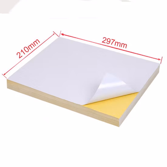 80GSM Cast Coated Paper