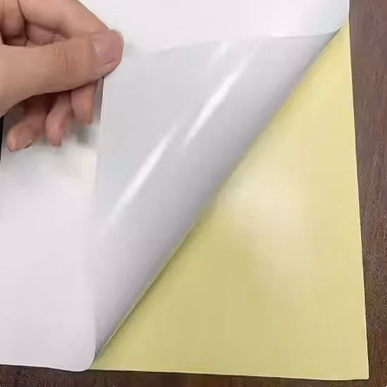 80GSM Cast Coated Paper